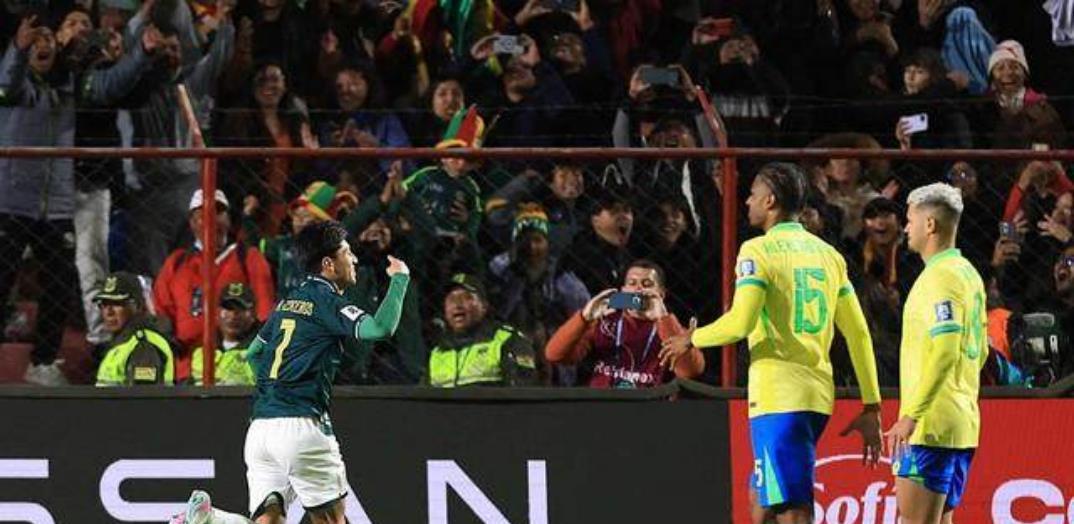 amp, entit, 着高原主场